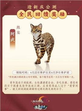 传奇世界私服怎么玩